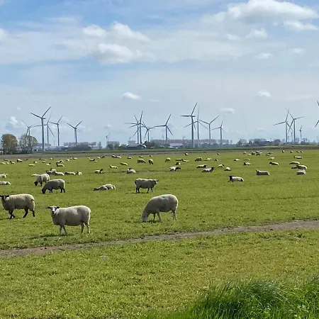 Appartement 1 Mit Kueche Und Neuem Bad, Frisch Saniert Friedrichskoog Eksteriør billede