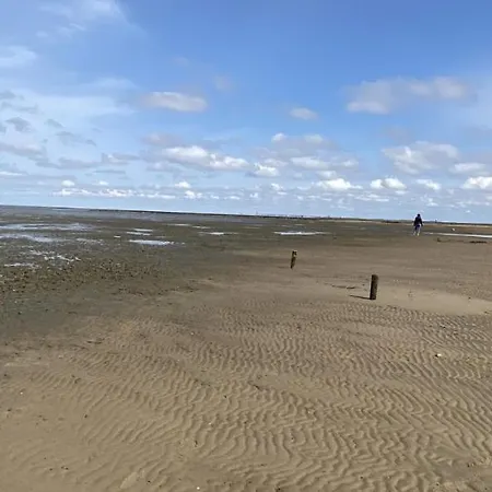 Appartement 1 Mit Kueche Und Neuem Bad, Frisch Saniert Friedrichskoog Eksteriør billede