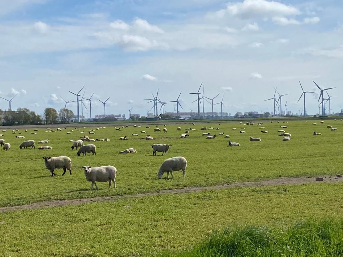 1 Mit Kueche Und Neuem Bad, Frisch Saniert * Friedrichskoog