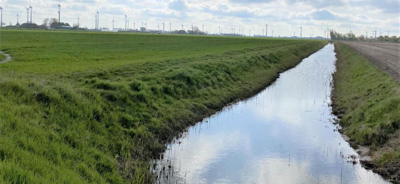 1 Mit Kueche Und Neuem Bad, Frisch Saniert * Friedrichskoog